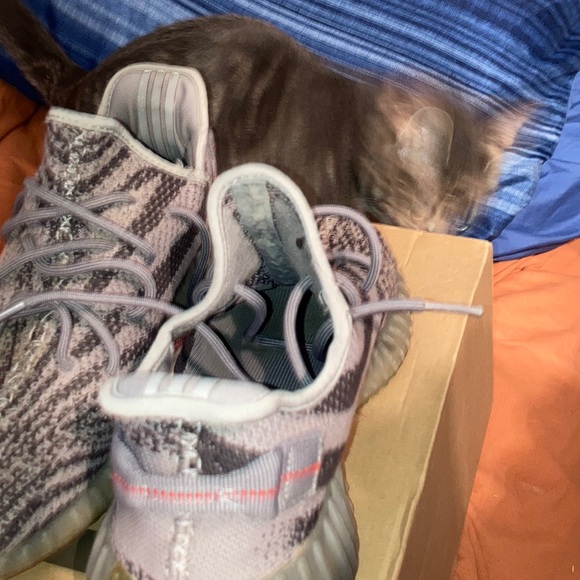 Yeezy Boost 350 V2 Beluga 2.0 - Picture 2 of 8